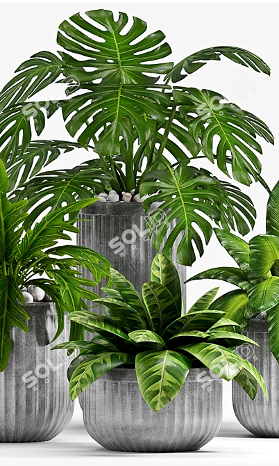 Vintage Planter Set - 100 3D model image 2