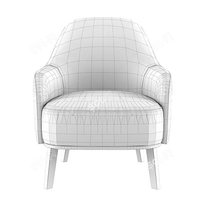 Lema Fantino: Folding Model for Smooth Ironing 3D model image 2