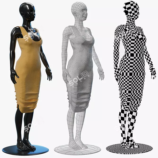 Elegant Mesh Dress 3D model image 3