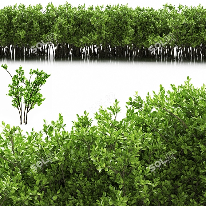 Green Oasis: Stylish Planter 3D model image 1