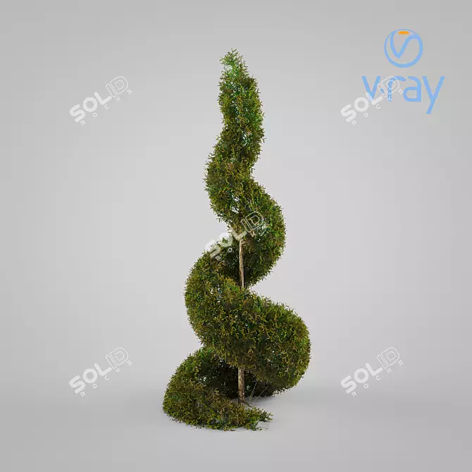 Spiral Cypress Plant: Elegant and Versatile 3D model image 1