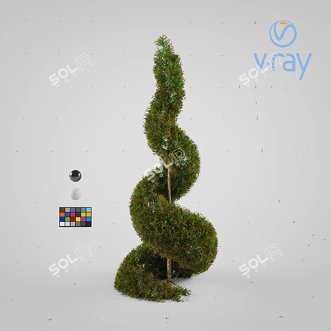 Spiral Cypress Plant: Elegant and Versatile 3D model image 2