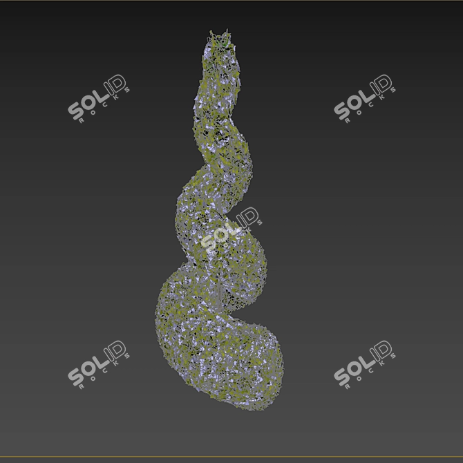 Spiral Cypress Plant: Elegant and Versatile 3D model image 3