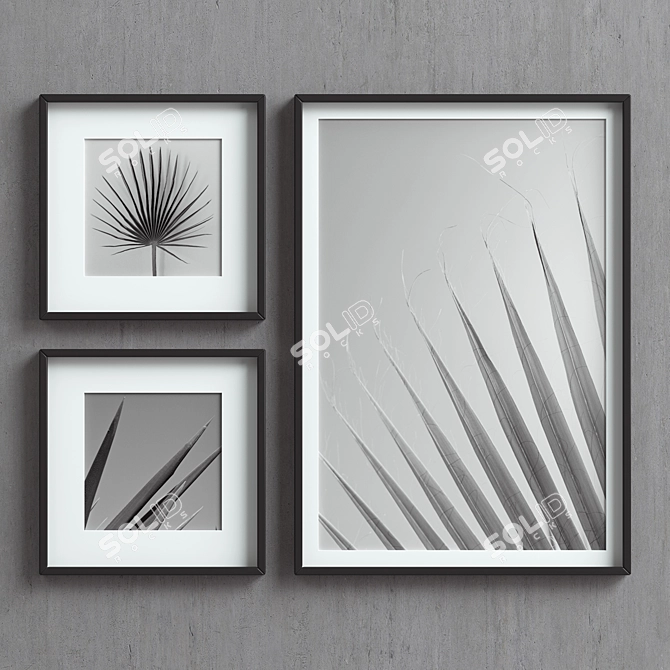 Elegant Frames Set with 4 Colors 3D model image 1