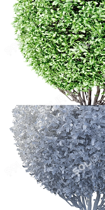 Salix Sphere | Willow Tree Sculpture 3D model image 2