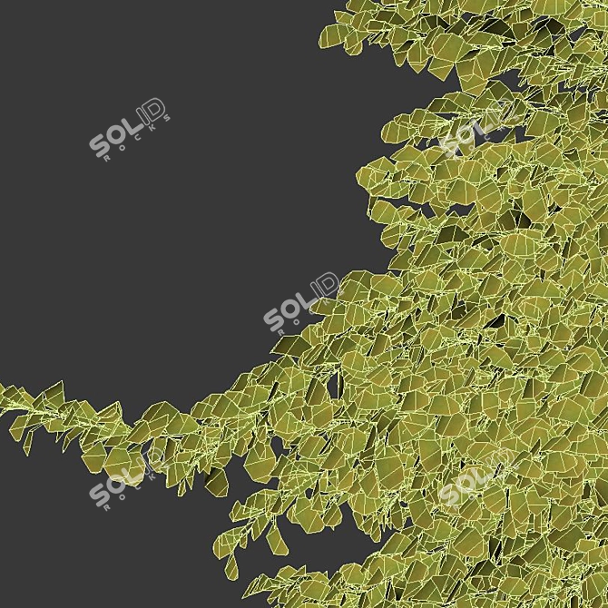 Green Carpet Berberis Thunbergii: Optimal Sizes & Stunning Precision 3D model image 4