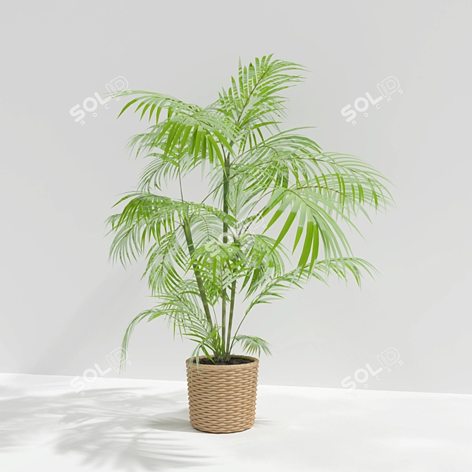 Title: Stunning Green Leaf Plant 3D model image 1