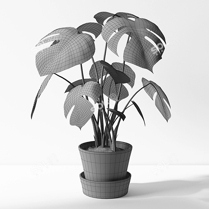 Monstera Leaf Wall Decor 3D model image 3