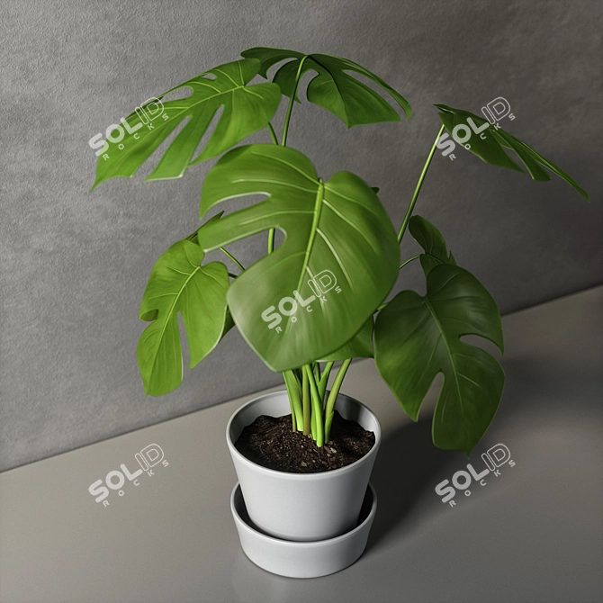 Monstera Leaf Wall Decor 3D model image 4