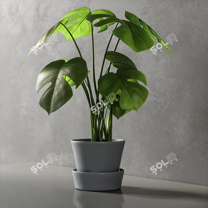 Monstera Leaf Wall Decor 3D model image 5