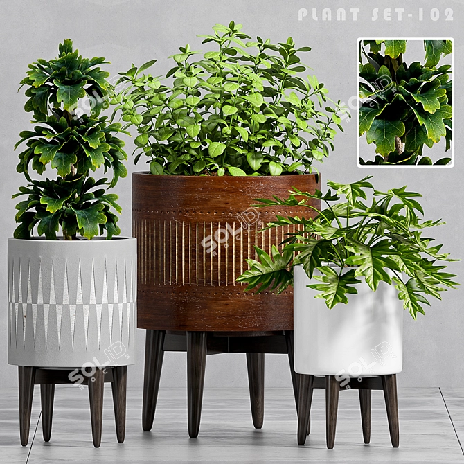 Nature's Oasis: Decorative Plant Set 3D model image 1