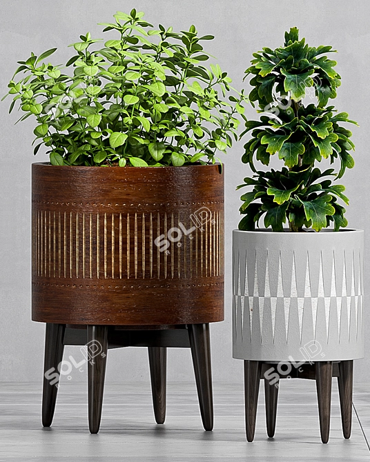 Nature's Oasis: Decorative Plant Set 3D model image 3