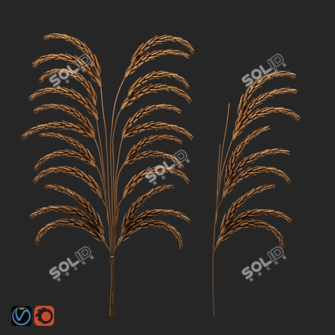 Modern Wheat Decor Set for Wall 3D model image 1