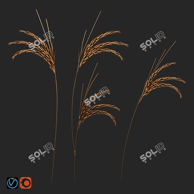 Modern Wheat Decor Set for Wall 3D model image 2