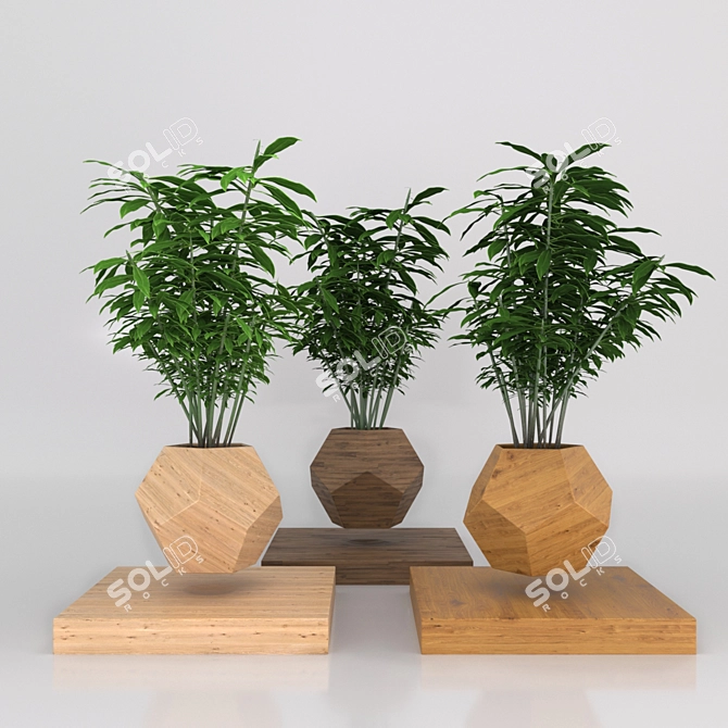 LePlant Levitating Wood Hamedoraea Planter 3D model image 1