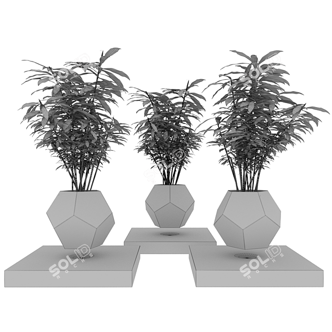 LePlant Levitating Wood Hamedoraea Planter 3D model image 2