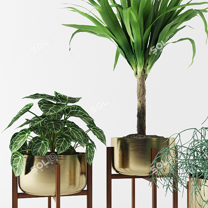 Archived Plants: 3dsmax 2014 + Vray 3.50.04 & FBX.OBJ 3D model image 2