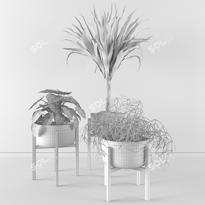 Archived Plants: 3dsmax 2014 + Vray 3.50.04 & FBX.OBJ 3D model image 3