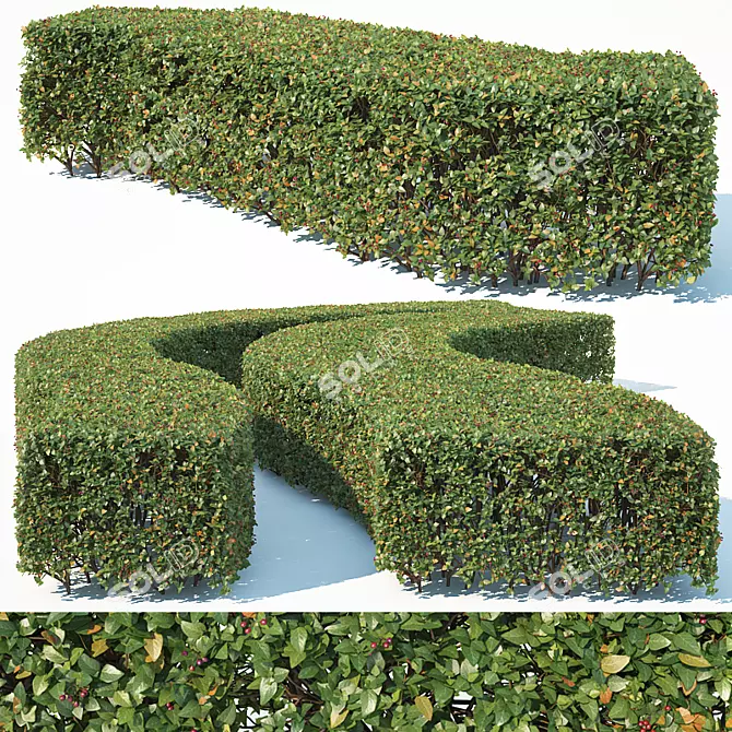 Lucidus #6 Rectangular Hedge 3D model image 1