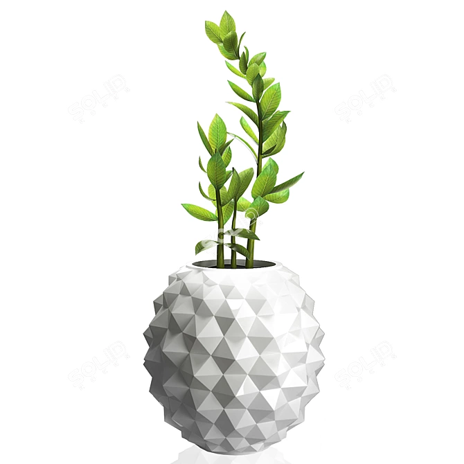 Natural Scale Plant Pot 3D model image 1