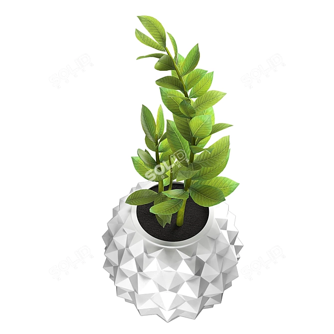 Natural Scale Plant Pot 3D model image 2