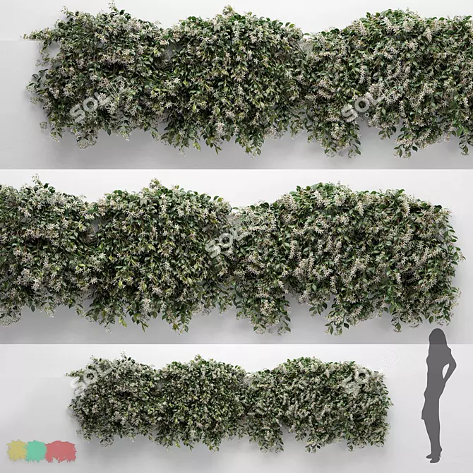 Modular Choisya Ternata Hanging Plants 3D model image 1