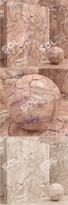 Seamless Wood Slab Set 35 - 4.2K Textures 3D model image 2