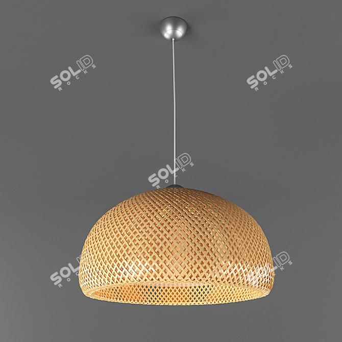 Bamboo Beauty: BOYA Pendant Lamp 3D model image 1