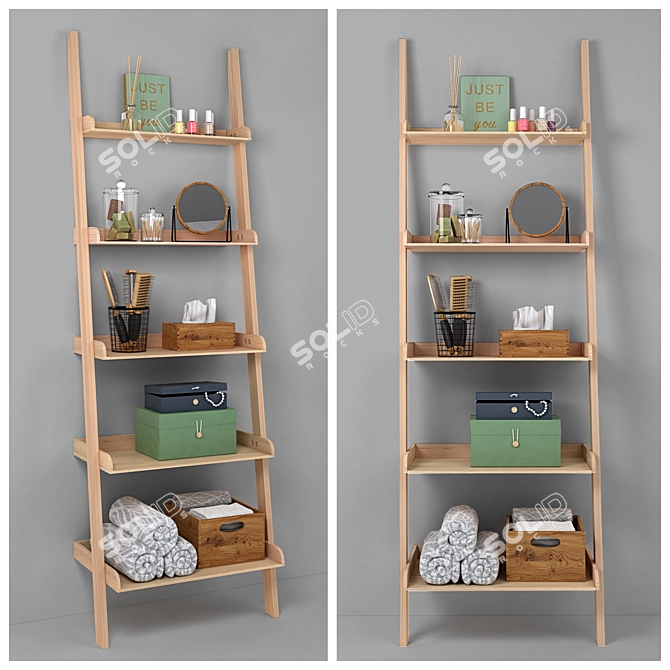 Modern Rubber Tree Ladder Shelf 3D model image 1