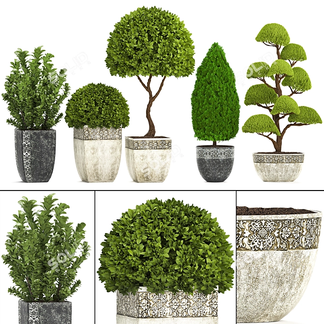 Title: Evergreen Plant Collection for Outdoor Landscaping 3D model image 1
