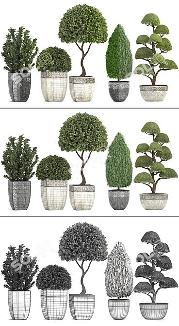 Title: Evergreen Plant Collection for Outdoor Landscaping 3D model image 3