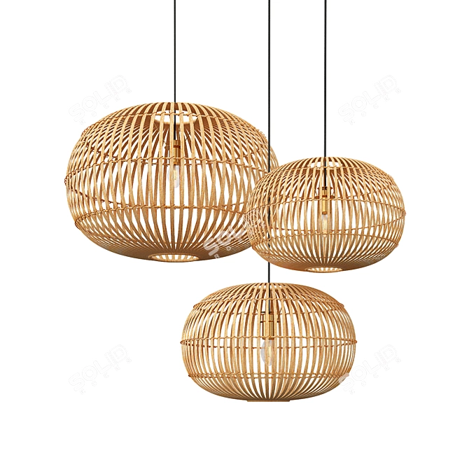 Rustic Globe Pendant Light 3D model image 1