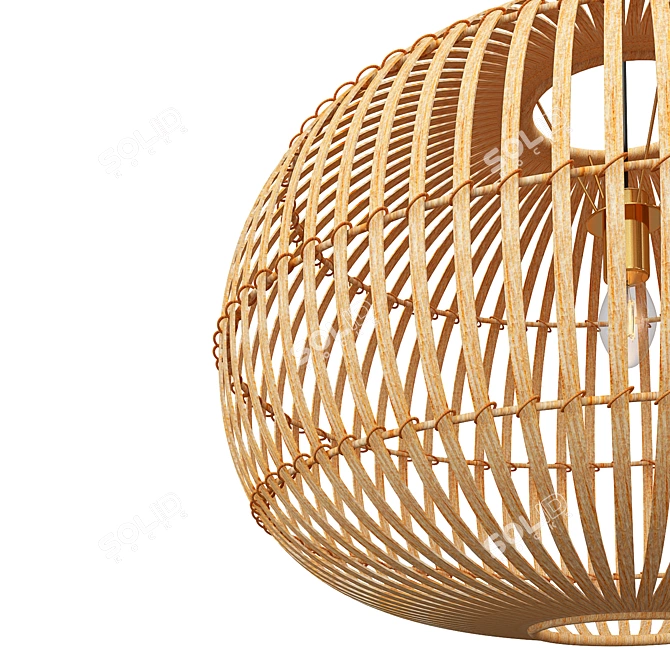 Rustic Globe Pendant Light 3D model image 2