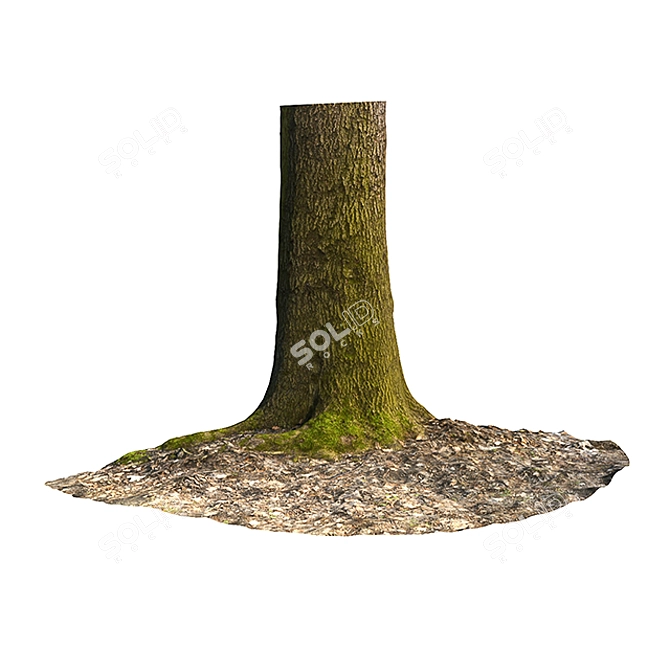 Acer Trunk: Realistic Moss Decor 3D model image 1