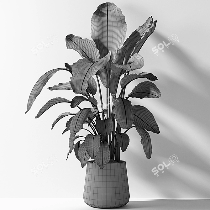 Exotic Strelitzia Plant: UV Mapped for V-Ray & Corona 3D model image 3