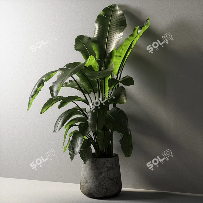 Exotic Strelitzia Plant: UV Mapped for V-Ray & Corona 3D model image 4