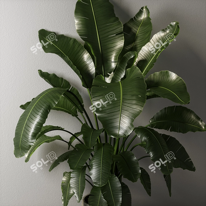 Exotic Strelitzia Plant: UV Mapped for V-Ray & Corona 3D model image 5