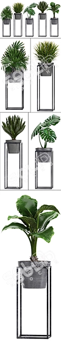 Exotic Plant Collection: Monstera, Cycas, Rhapis, Alocasia 3D model image 2