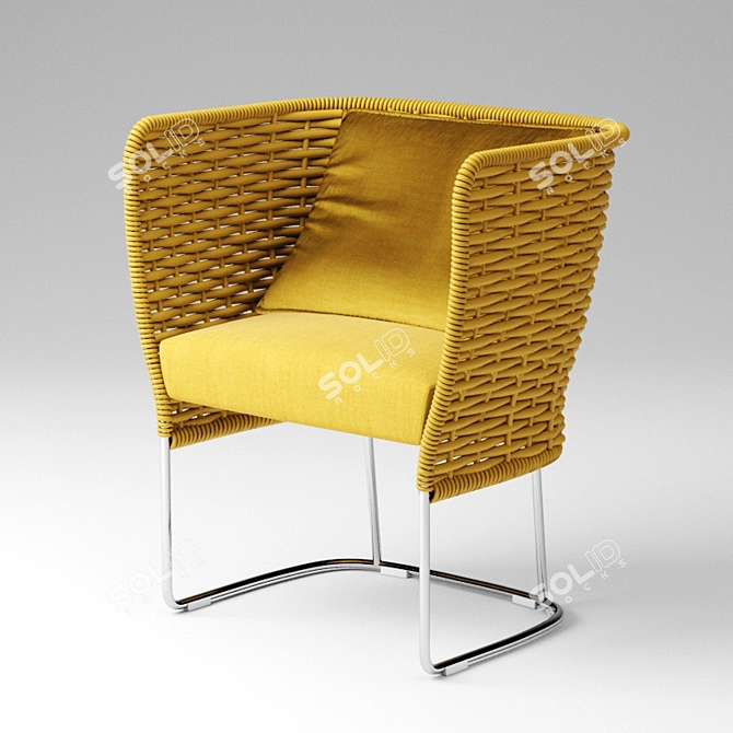 Elegant Ami Chair by Paola Lenti 3D model image 1