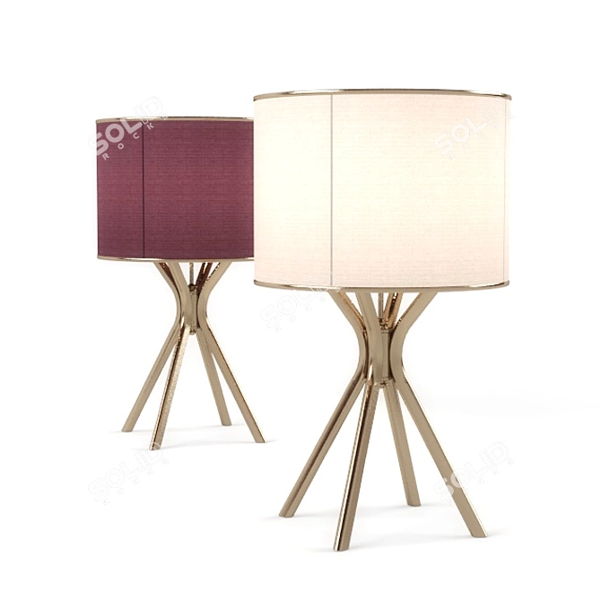Elegant Glass Table Lamp 3D model image 1