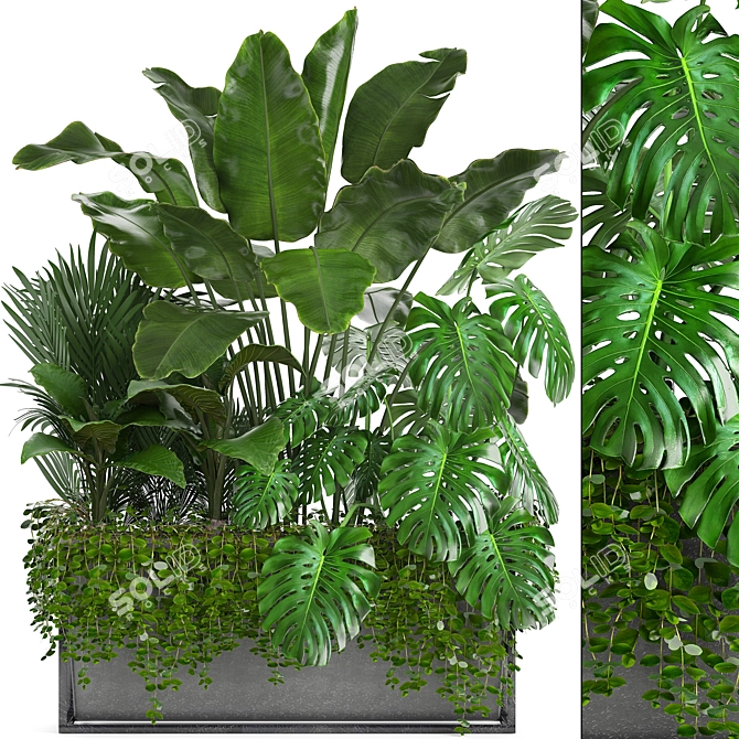 Exquisite Exotic Plant Collection 3D model image 1