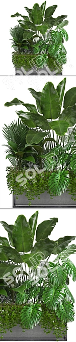 Exquisite Exotic Plant Collection 3D model image 2