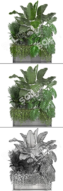 Exquisite Exotic Plant Collection 3D model image 3
