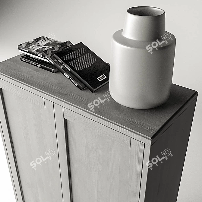 HAVSTA Cabinet with Base  Stylish Storage Solution 3D model image 2