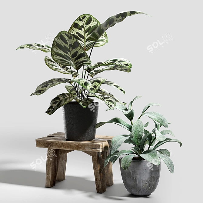 Lush Greenery Trio 3D model image 2