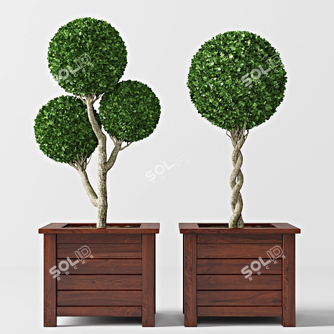 Decorative Plant Set - 70cm 3D model image 1