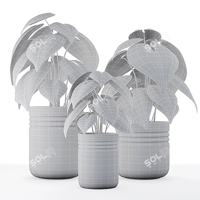 Anthurium clarinervium: Exquisite 2014 V-Ray 3D Model 3D model image 3