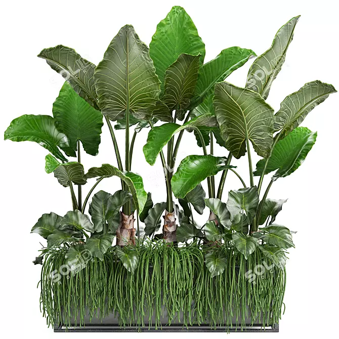 Tropical Plant Collection: Exotic Flora at Your Fingertips 3D model image 1