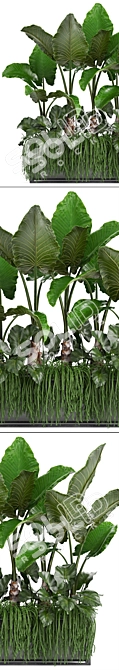 Tropical Plant Collection: Exotic Flora at Your Fingertips 3D model image 2