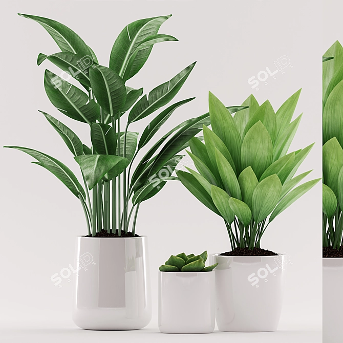 Green Paradise: Aspidistra Plant with White Pot 3D model image 1